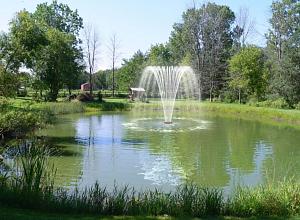 Willow 3", 59 x 4 мм